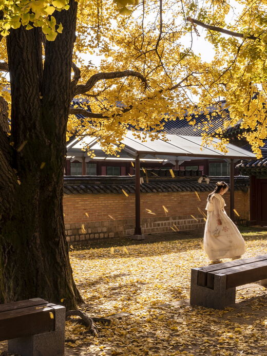 Дворцы и Инсадон